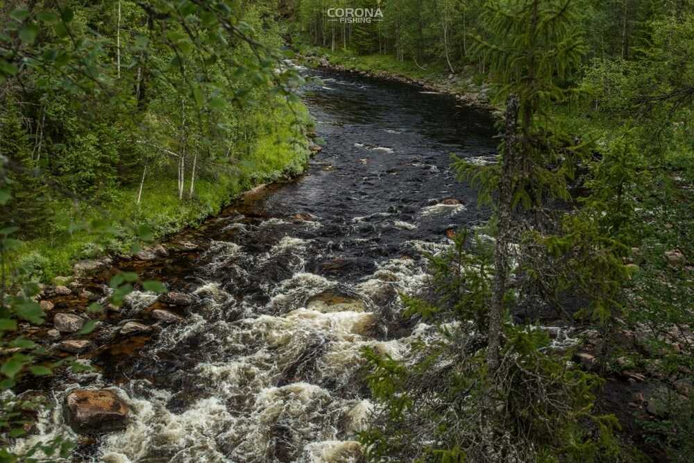 wędkarstwo skandynawia